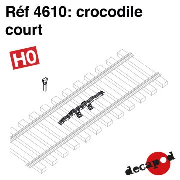 Crocodile court [HO]